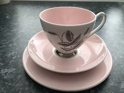Buy Queen Anne Harvest Pink Bone China Tea Trio Set, Cup, Saucer And Teaplate • 4.99£