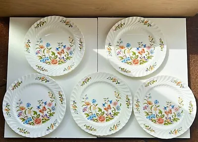 Buy Aynsley Cottage Garden Plate Dessert Salad Dinner Party Replace Gift Collectible • 19.50£