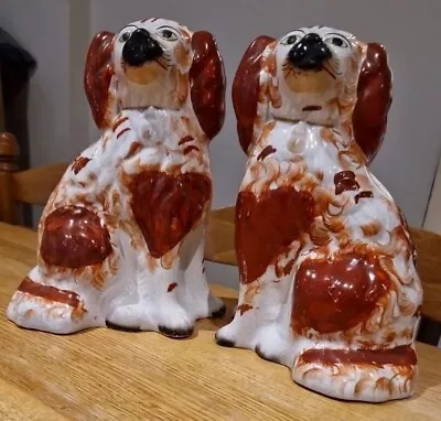 Buy Pair Of Victorian Staffordshire Pottery - Red Spaniel Dogs 8' Inches Heigh • 88£