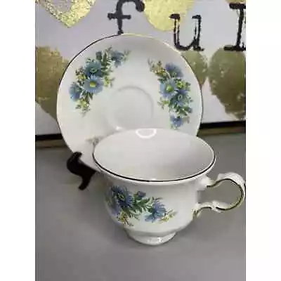 Buy Queen Anne English Bone China Tea Cup And Saucer Set Blue Daisy Pattern 8542 • 14.38£