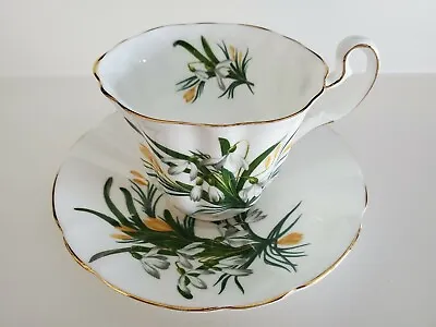 Buy Adderley Fine Bone China Teacup And Saucer Yellow And White Wildflowers • 42.56£