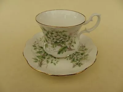 Buy Royal Albert Bone China White Floral Tea Cup & Saucer. • 22.50£