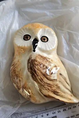 Buy VINTAGE TONI RAYMOND POTTERY Owl, HAND PAINTED. Vgc. Made In England. • 18.99£