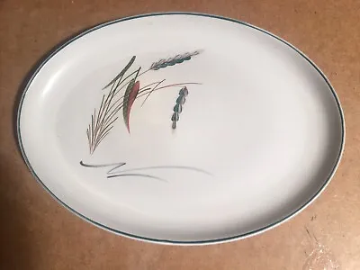 Buy Vintage Denby Stoneware Greenwheat Oval Serving Plate 12.5x9” Made 1956-77 Retro • 15£
