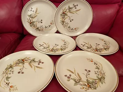 Buy 6x Marks & Spencer M&S Harvest Glazed Stoneware Large Dinner Plates 27cm 10.5  • 18£