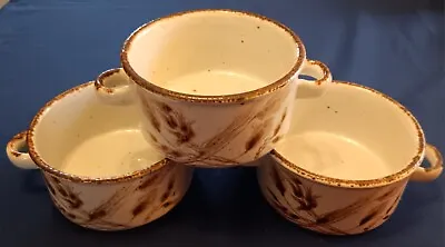 Buy Midwinter Stonehenge - Wild Oats - 3 X Soup Coupe – Excellent Condition • 15£