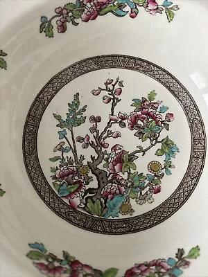 Buy Bridgwood - Ye Olde Indian Tree (pattern #5800) - Vintage Tableware - R8 • 10£