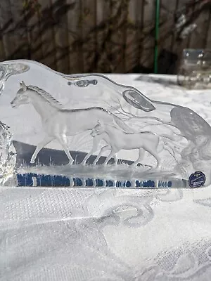 Buy Vintage Capredoni Dartington Crystal Glass Paperweight With Horse & Colt 8ins • 23£