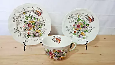 Buy Vintage Royal Doulton Bone China Cup Saucer & Tea Plate Trio D  6141 Hampshire  • 7£