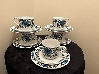 Buy Midwinter Spanish Garden Set Of Five Cups Saucers & Tea Plates • 19£
