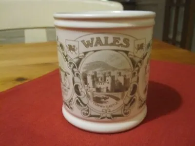 Buy Denby Pottery ‘Regions & Counties Mugs’ - Wales • 5.95£