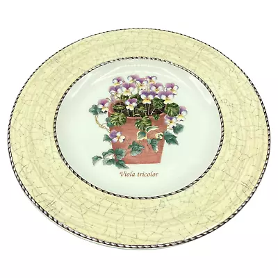 Buy Wedgwood Sarah's Garden Viola Tricolor 8  Plate • 18.97£