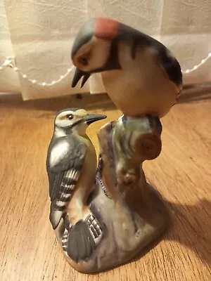 Buy Royal Worcester PIED WOODPECKERS Bird Ornament - 3363 • 0.99£
