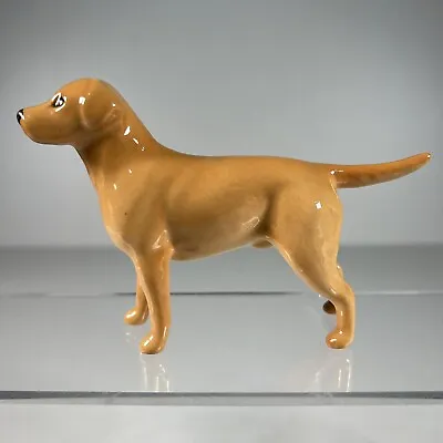 Buy Beswick Golden Labrador Dog Vintage 8 Cm Tall Glossy Figurine Collectible • 12.77£
