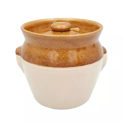 Buy Vintage Govancroft Of Glasgow Stoneware Storage Jar, Lidded Sugar Preserve Pot • 16£