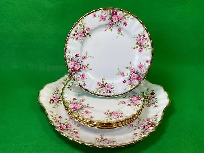Buy Royal Albert COTTAGE GARDEN A SET OF FIVE SIDE PLATES AND SERVING PLATE • 40£