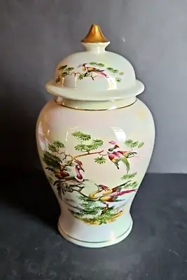 Buy Vintage Sadler Lidded Temple Jar / Urn (Pheasant Pattern)  - 20.5 Cm Tall • 13£