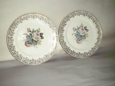 Buy 2 Salem China Plates Dishes Royal Rose Bouquet Floral Dessert, Bread, Salad 23 K • 15.44£