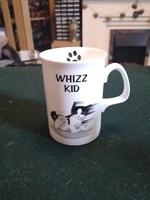 Buy Duchess Felix  Whizz Kid  Mug • 12£