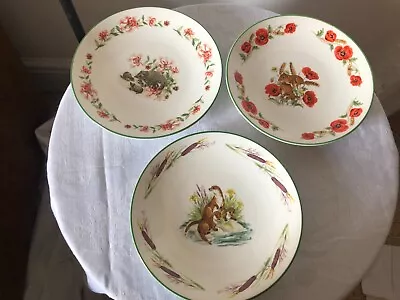 Buy 3 X Crown Staffordshire China  Plates  Country Friends Otters Mice Hedgehog • 13.95£