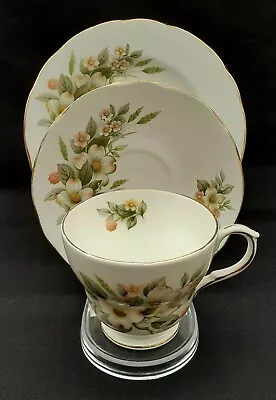 Buy Vintage Duchess Dogwood Bone China Tea Trio - Cup, Saucer & Plate • 5£