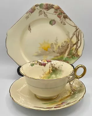 Buy Shelley Chester Shape  Autumn Leaves  Pattern 11923 Tea Cup Trio. • 39.99£
