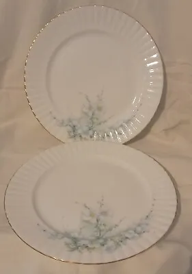 Buy 2 ROYAL STAFFORD White Apple Blossom Bone China  Dinner Plates • 8.99£