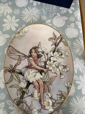 Buy ROYAL WORCESTER THE WILD CHERRY BLOSSOM FAIRY OVAL PLATE  21.8cm X 16.8cm • 6.99£