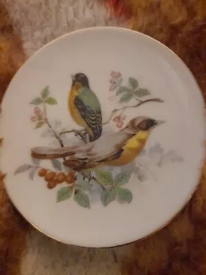Buy A. K. Kaiser Bird Design Decorative Plate • 2.99£
