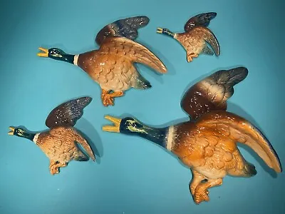 Buy Set Of Four Sylvac Falcon Ware Graduated Flying Ducks Nos. 1360,1401,1402,1403 • 160£