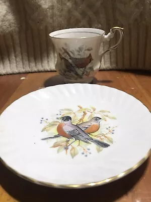 Buy Queens Fine Bone China Birds Of America Series 1 Cup And Saucer Gold Edge • 28.39£