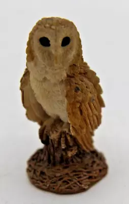 Buy Small Barn Owl Figurine, Hand Painted And In Lovely Condition. • 0.99£