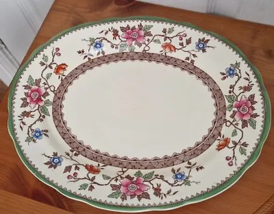 Buy Vintage Royal Cauldon Oval Shaped Serving Plate Platter Green Floral Design 29cm • 14£