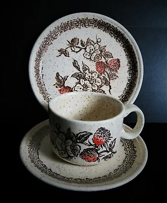 Buy 3pc Tea Set Vintage Staffordshire Cup Plate, Saucer Wild Strawberry Design 1970s • 7.99£