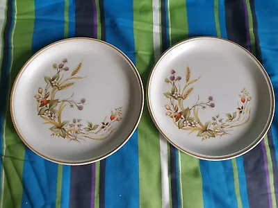 Buy M&S Marks And Spencer Harvest DINNER PLATES X 2, 27cm Excellent Condition. L3 • 16£
