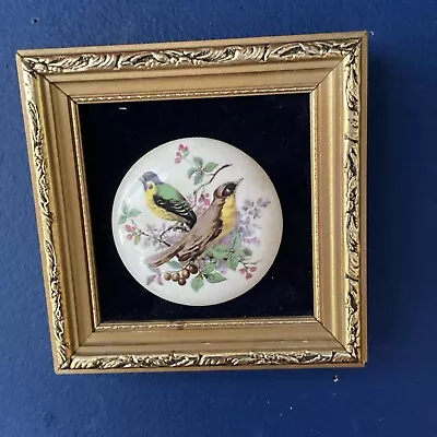 Buy Vintage Kitsch Genuine Staffordshire Ceramic Framed Bird Picture Plaque 13 X 13 • 5.99£