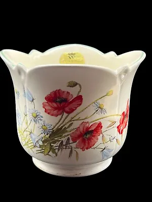 Buy Royal Winton Planter Pot Country Diary Collection Common Red Poppy 1977 • 16.33£