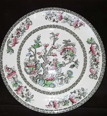 Buy Johnson Brothers Indian Tree Plate  8.5  . • 4.99£