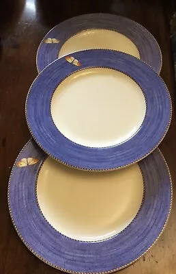 Buy Wedgwood Set Of 3 Sarah’s Garden Dinner Plates  In Blue (Set 2) New Condition • 50£