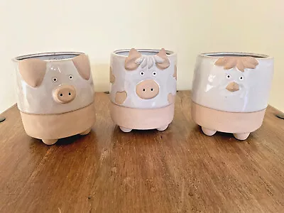Buy Small Cow Chicken Pig Plant Pots • 5£
