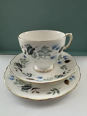 Buy Vintage Colclough Bone China Cup And Saucers • 10£