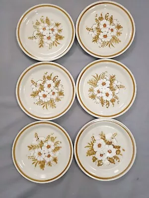 Buy Vintage Mountain Wood Dinner Plates 27cm X 6 Stoneware Dried Flowers • 19.99£