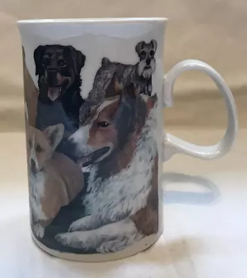 Buy Dunoon Stoneware Dogs Mug A Design By Deborah Pope, Preloved • 7£