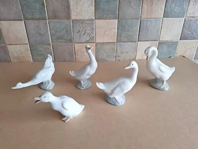 Buy Five Nao's By Lladro Geese Figurines (all In Different Poses) • 12.50£