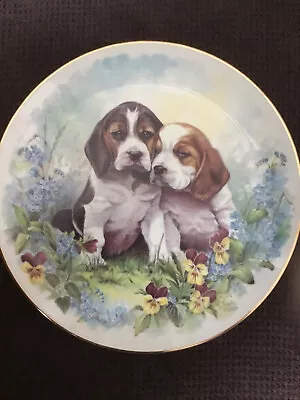 Buy Royal Crest  China Plate Beagle Puppies 20cm. VGC • 6.99£