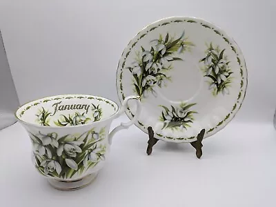 Buy Royal Albert Flower Of The Month January Snowdrops-  Tea Cup And Saucer Set  • 8.95£