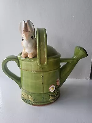 Buy Beatrix Potter Peter Rabbit Teapot Watering Can • 18£