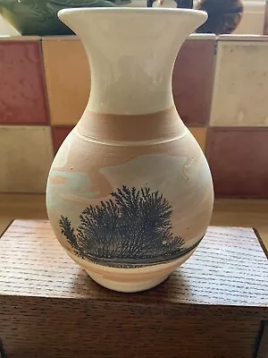 Buy Roger Irving Boscastle Pottery  Vase 1999 5 1/2  Tall (matte Body) • 12.99£