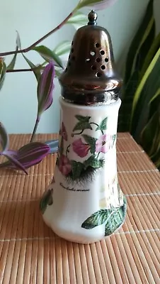 Buy Vintage Lord Nelson Ware Botanic Themed Sugar Sifter, Used, VGC, Floral, Plated. • 15£