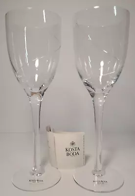 Buy Kosta Boda Line Clear Claret Wine Glass Anna Ehrner Designer Artist Collection • 23.63£